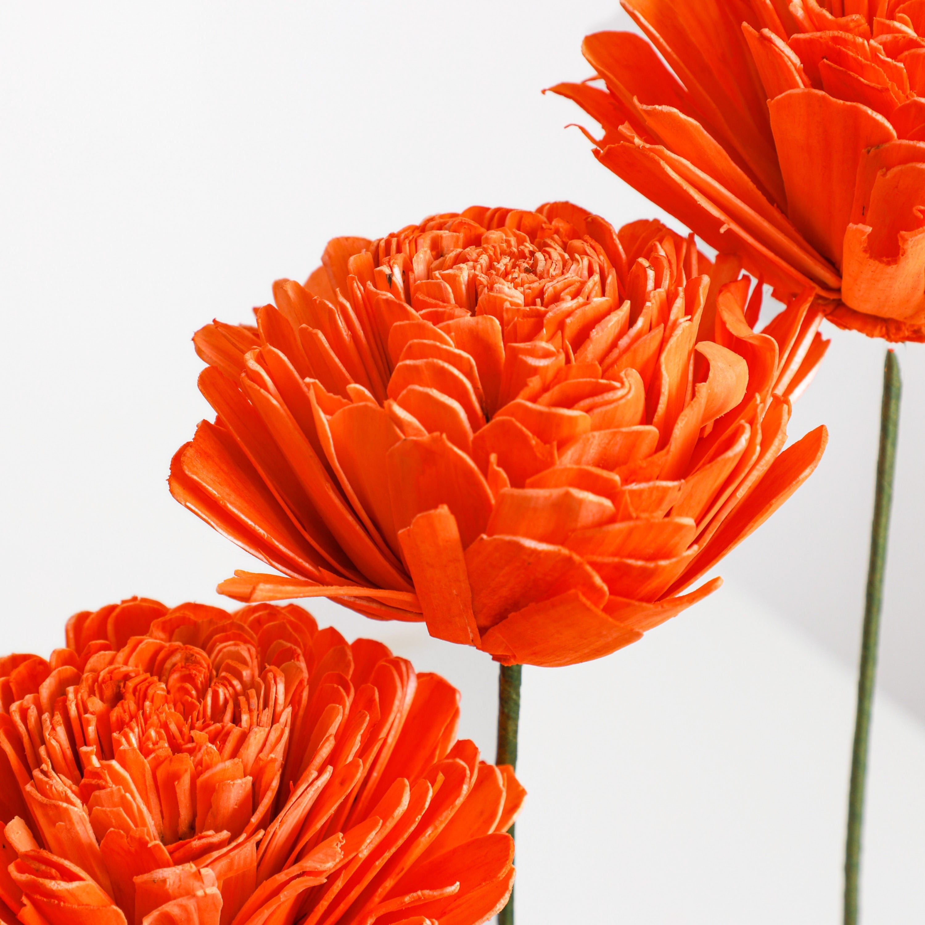 Orange Flower with Stem